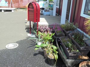 蘭へ水遣り