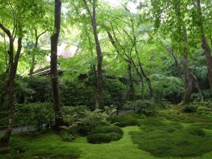 そうだ 京都、行こう