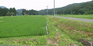 あぜ道の草を刈る理由