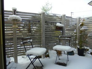 今年初めての積雪