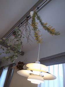 天井を見上げるとドライフラワーの花畑