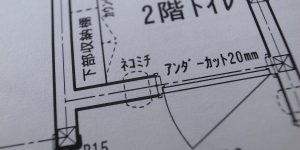 [大家族に乾杯！の家]　ネコミチのある家づくり、スタート