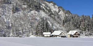 2022年を迎えて