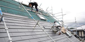 [ヌックぬっくこんにちは]　屋根は平らじゃありません。